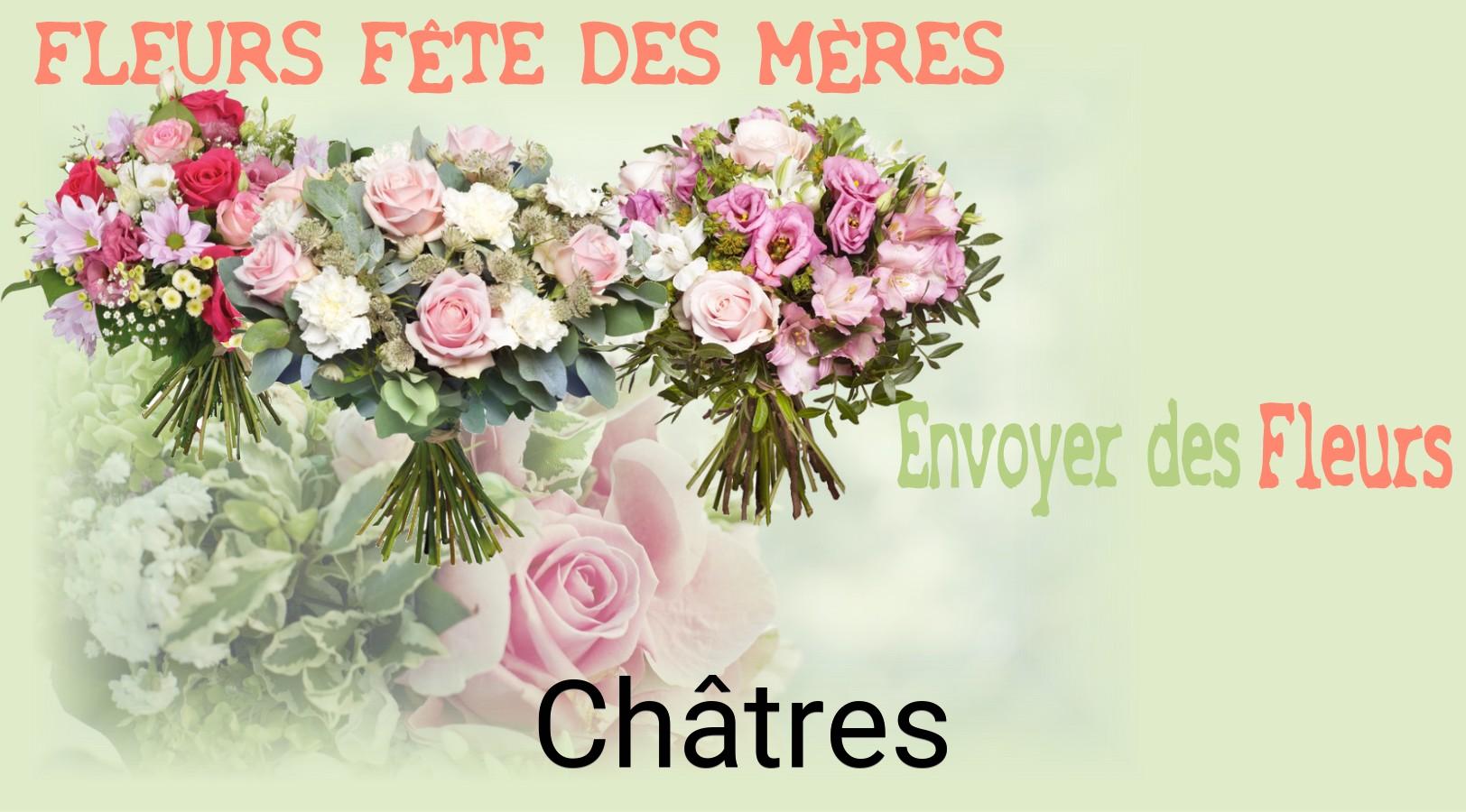 Bouquet de Fête des Mères livré à Châtres